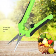 Stainless Steel Garden Pruning Scissors