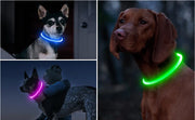 Led Dog Collar