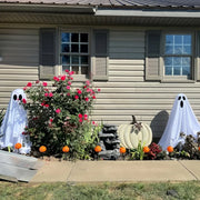 Halloween Ghost Lights