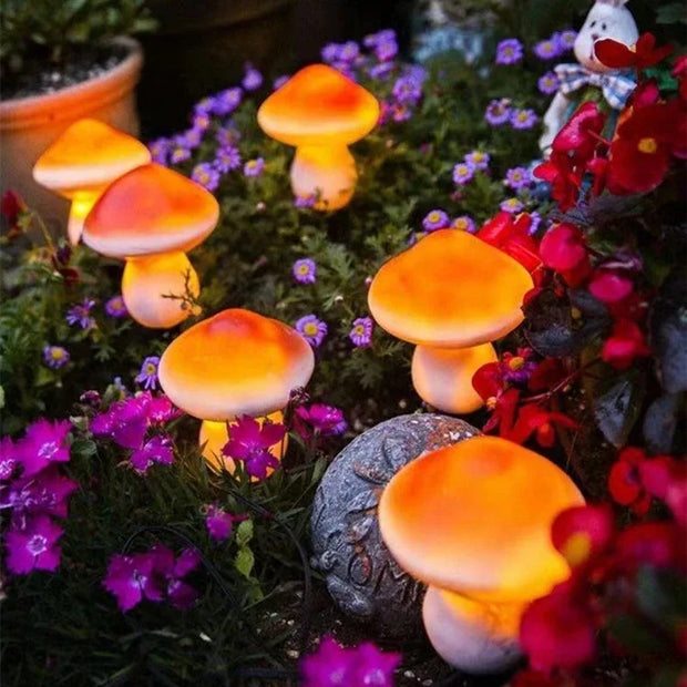 6 Solar Mushroom Lights