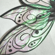 Butterfly/Fairy Wings Adult/Kid